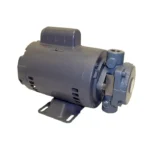 Fryer Pump Motor
